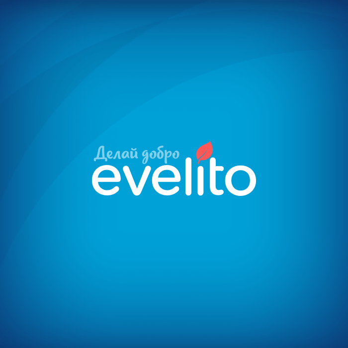 Видео презентация проекта Evelito