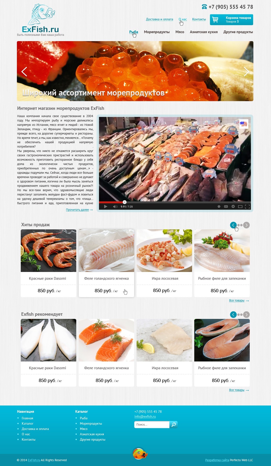 ExFish №2- Home page - design 2