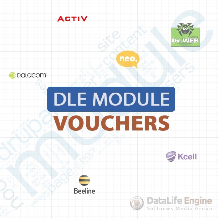 Module DLE: Sales Vouchers